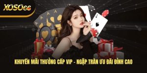 khuyen-mai-thuong-cap-vip-ngap-tran-uu-dai-dinh-cao